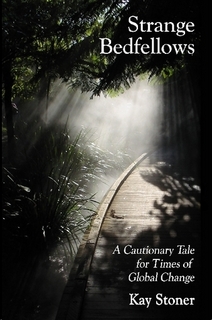 Strange Bedfellows - get your copy here