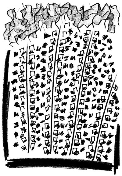 abstract image of many houses in rows, flanked by distant jungle