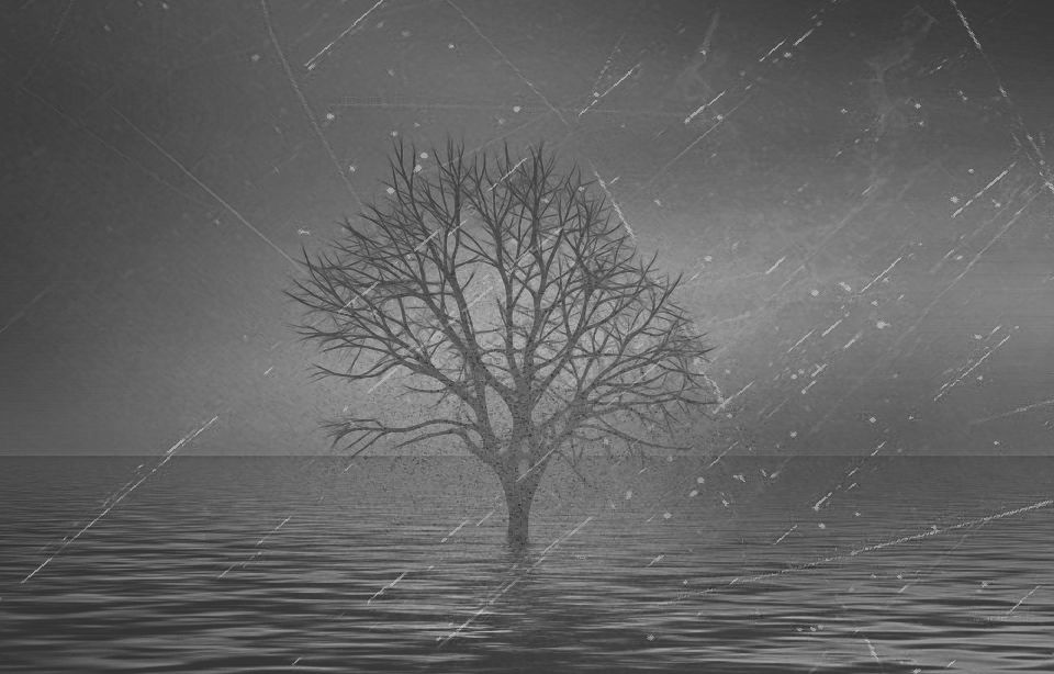 tree standing in water