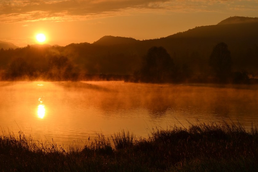 morning fog over a pond